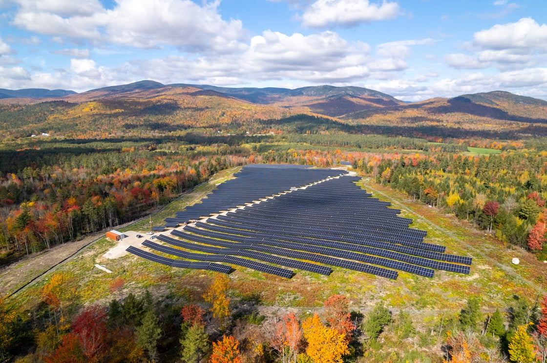Bethel Solar Farm-269