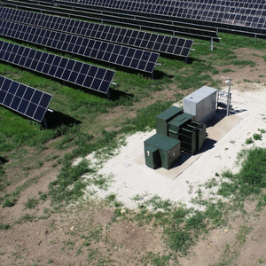 SSI Newsletter image for website (6)
