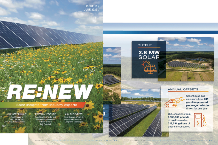 RENEW Fall Newsletter -3