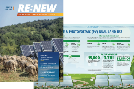 RENEW September 2023 Newsletter 