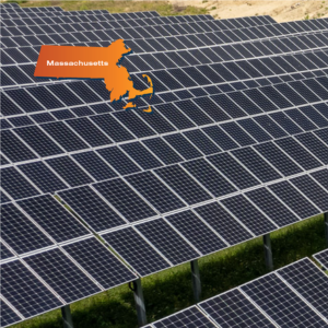SSI Newsletter image for website-Apr-25-2023-11-27-58-4913-PM